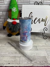 Load image into Gallery viewer, Stainless Steel Tumblers with straw